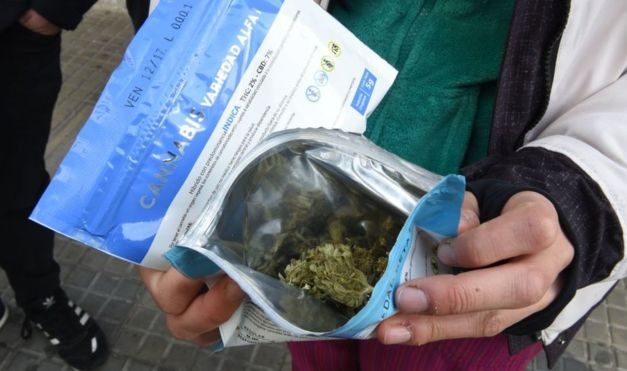 Amarilla convocará a autoridades de la Junta de Drogas para que expliquen aumento de consumo de marihuana