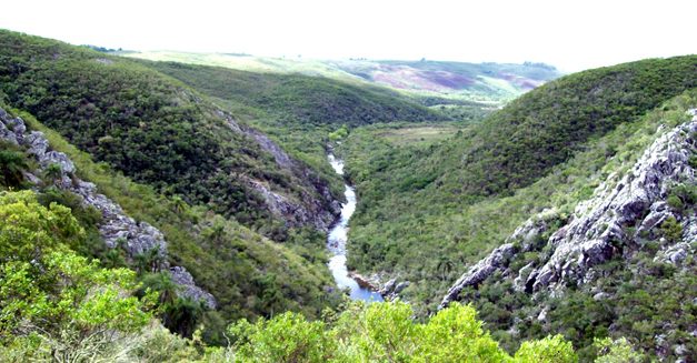 Áreas Protegidas cumple 10 años integrando zonas y guardaparques