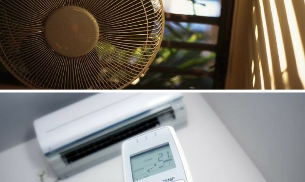 ¿Cómo combatís la ola de calor: con ventilador o con aire acondicionado?