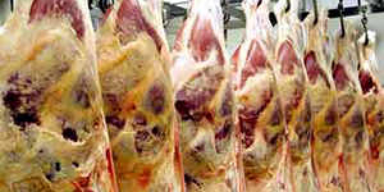 Japón habilitó a 16 frigoríficos para exportar carne bovina uruguaya