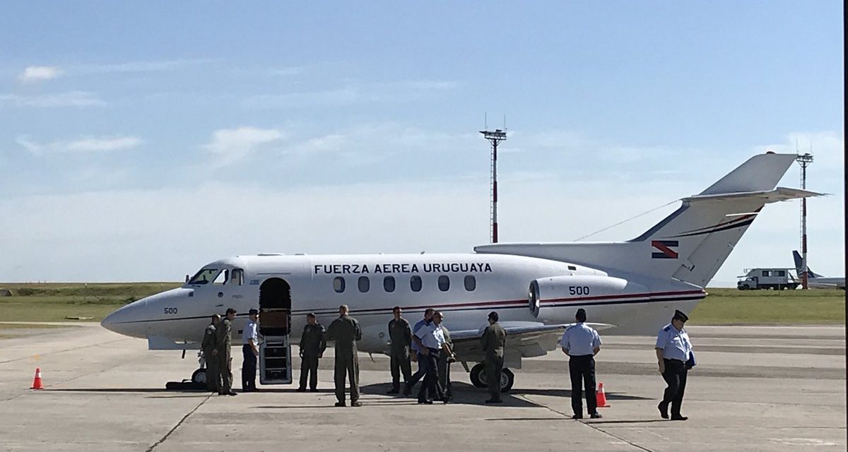 El Ministerio de Defensa presentó el nuevo avión presidencial
