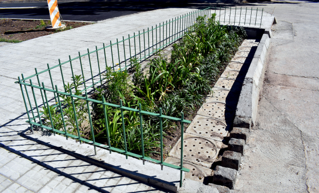 Finalizó la construcción de los primeros Jardines de Lluvia