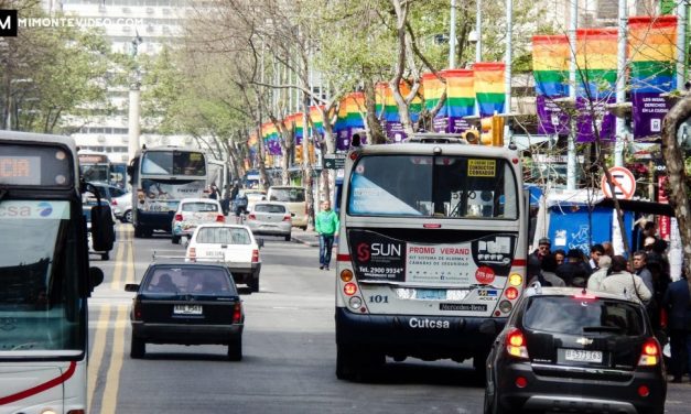 Choferes de Tránsito serán certificados en manejo defensivo