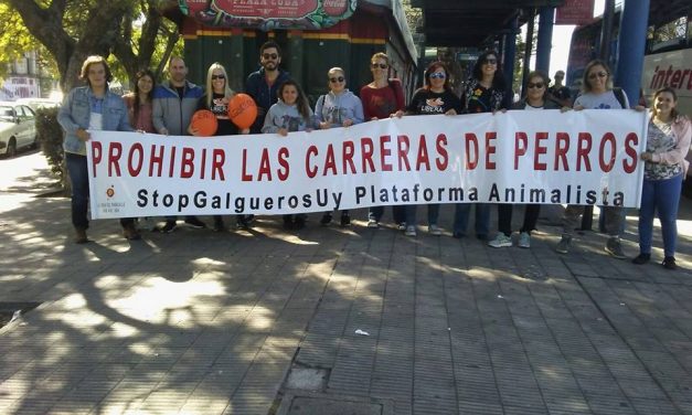 Fuerte movilización en Río Negro contra carreras de galgos.