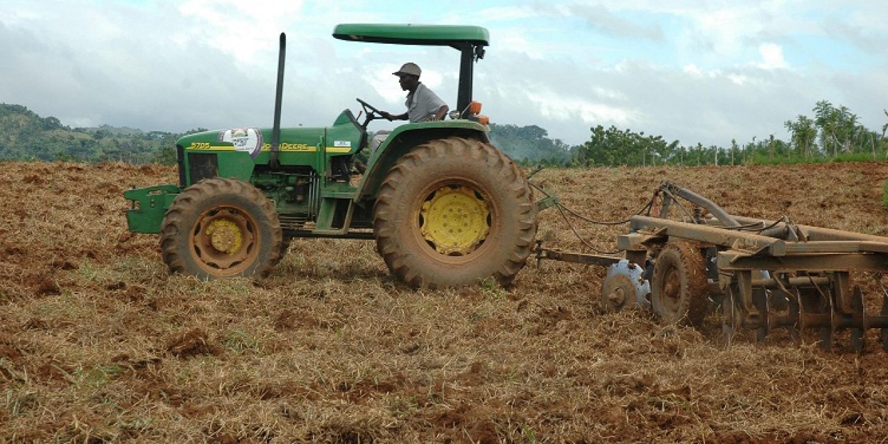 «El endeudamiento global del agro es alto y aumenta la morosidad»