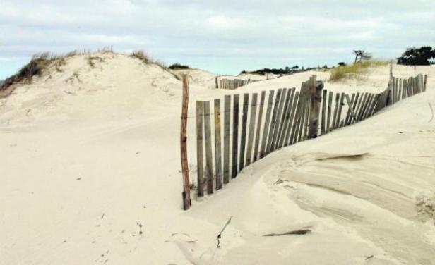 La erosión amenaza las playas de Montevideo