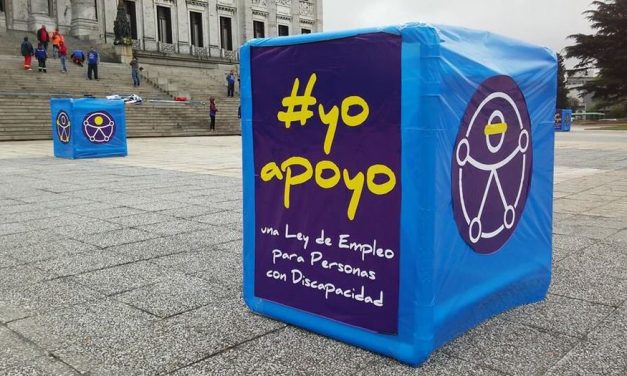 Discapacidad: «debería sancionarse a organismos públicos que no cumplen con la Ley»