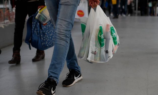 «Es muy temprano pero ha habido un 80% de disminución de uso de bolsas plásticas»