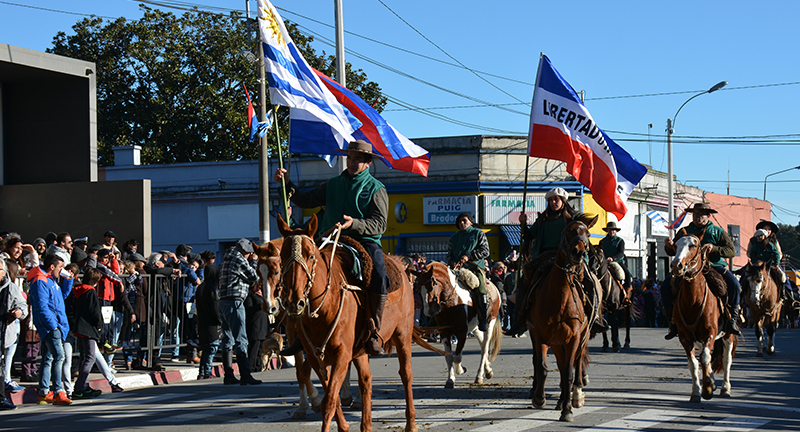 No habrá equinos en el desfile por aniversario del natalicio de Artigas