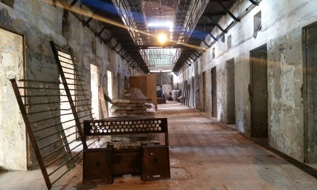 Reabre el Museo de Historia Natural, pionero en el mundo