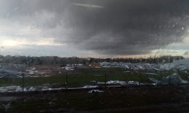 Importante granizada afectó Salto (videos)