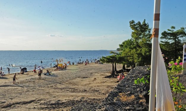 San Gregorio de Polanco y el impacto de UPM