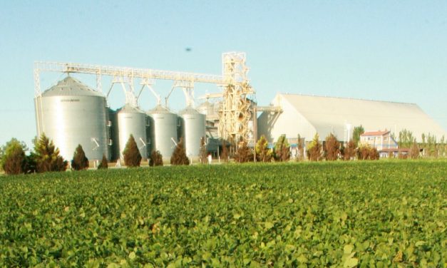 El agro ¿crece, se estanca o empeora?