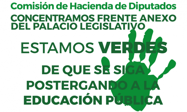 La UDELAR movilizada en el Palacio Legislativo