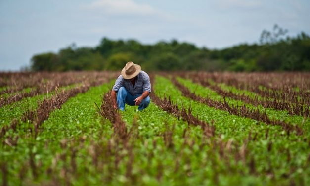 Gremiales rurales se retiraron de los Consejos de Salarios