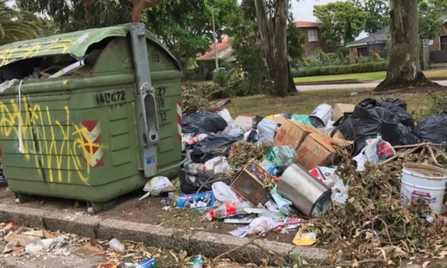 Mayoría opina que los vecinos son responsables de los problemas de limpieza