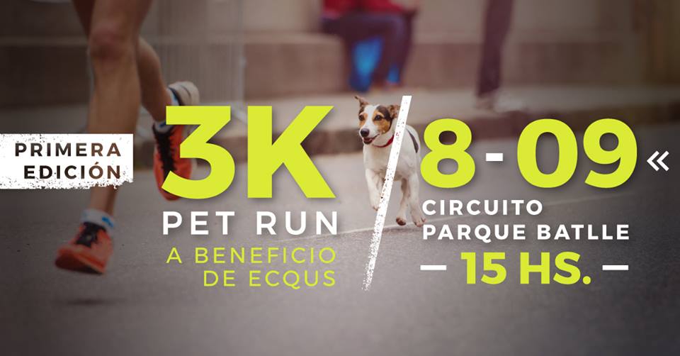 Pet Run: la primera carrera que podés compartir con tu perro