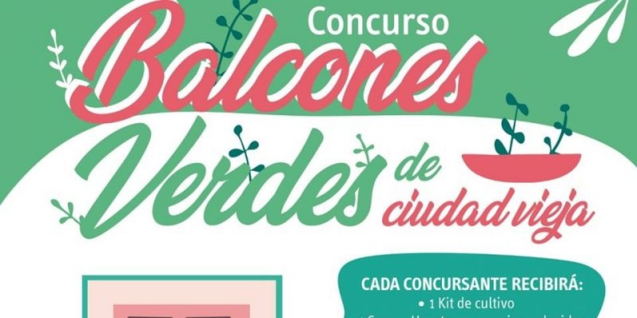 Ciudad Vieja florece: vuelve el concurso de balcones verdes