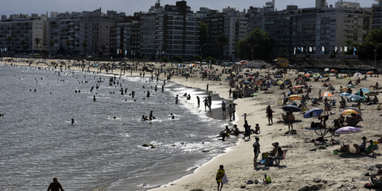 Intendencia de Montevideo anunció que todas playas habilitadas están aptas para baños