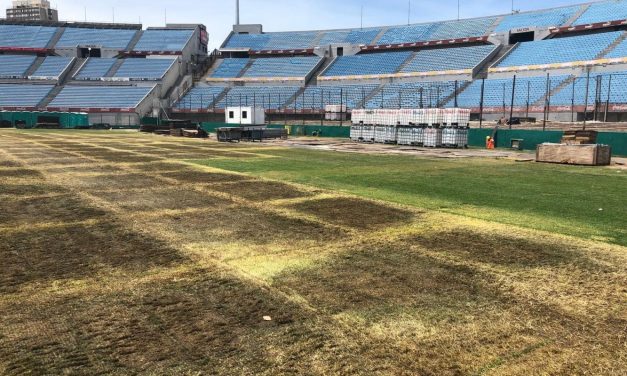 Suárez disconforme por estado del Centenario para la final del Uruguayo