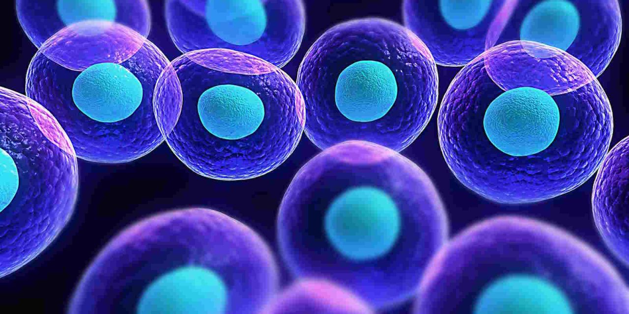 «La vida íntima de las células: el nuevo desafío de la ciencia»