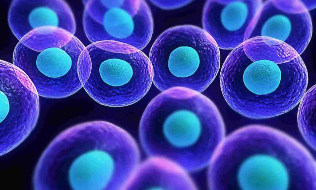 «La vida íntima de las células: el nuevo desafío de la ciencia»