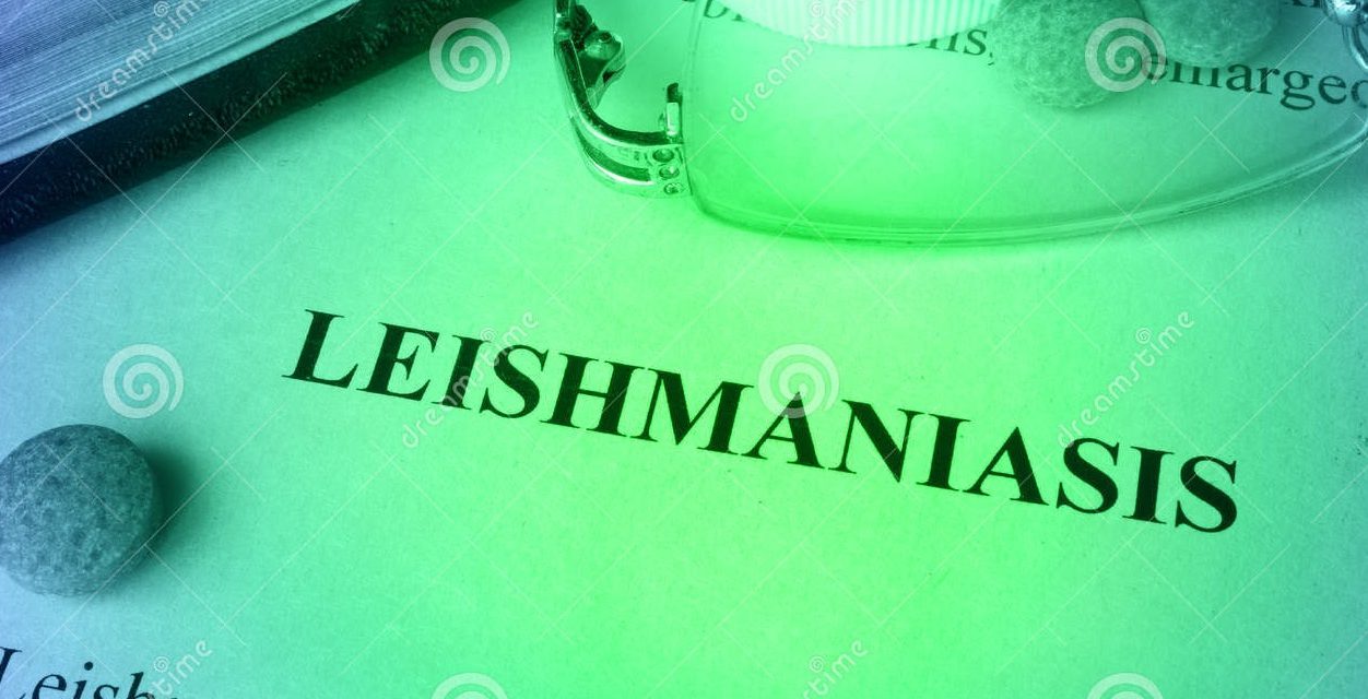 Se confirmó el primer caso positivo de leishmaniasis en la capital de Paysandú
