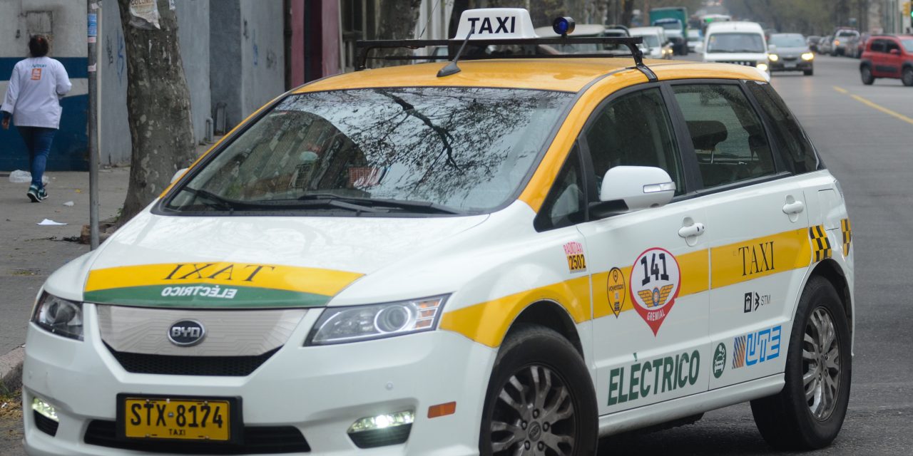 La Cámara de Transporte apoyará pedido de sacar las mamparas de taxis: «No ha demostrado evitar una sola rapiña»