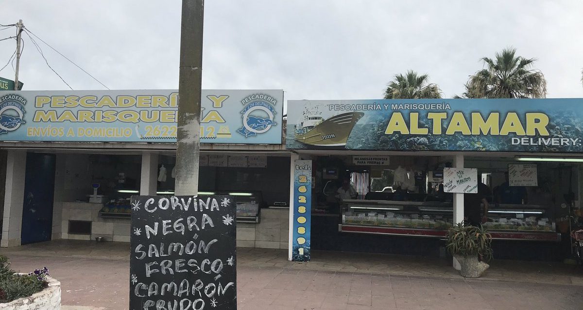 Vendedores de pescado del Puerto de Buceo aseguran que la venta es normal
