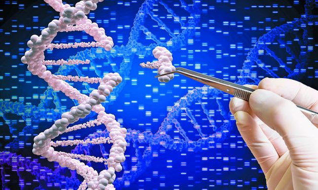 Las expectativas para la Salud en 2019