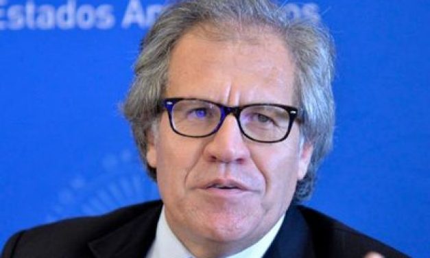 Nin Novoa: “Tenemos un problema, es la actitud del Secretario General de OEA”