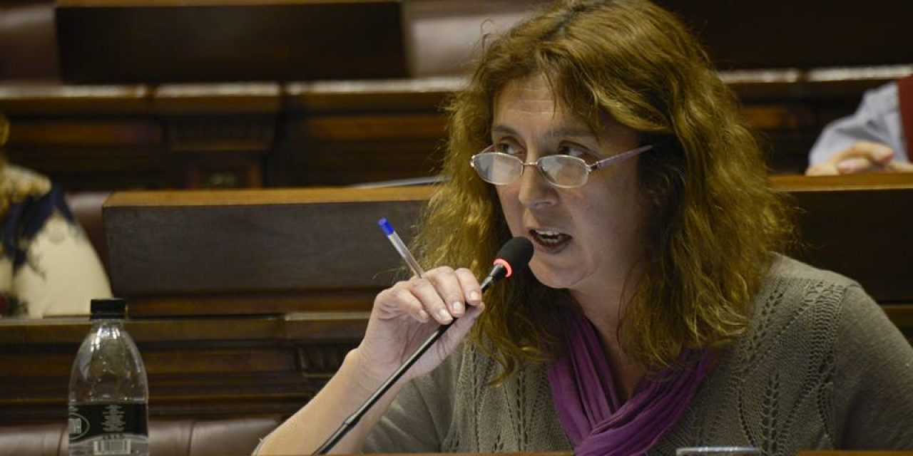 Cecilia Bottino asumió la presidencia de la Cámara de Diputados