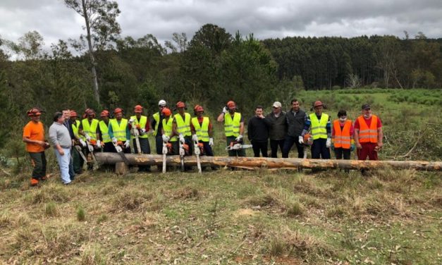 Partido Nacional, Cabildo Abierto y Frente Amplio se acercan a un acuerdo por ley forestal