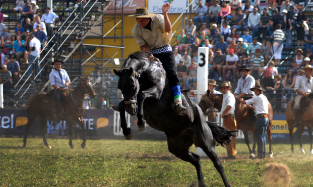 Este domingo se espera más de 2000 caballos en el Palacio Legislativo a favor de las jinetedas