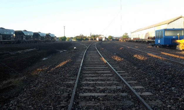 Se manifestarán en contra a las obras del tren que transportará producción de UPM