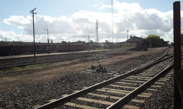 Presentaron los detalles del proyecto del Ferrocarril Central