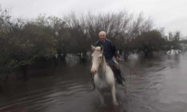 Rescatan a un productor que pasó la noche montado a su caballo por la crecida de un rio