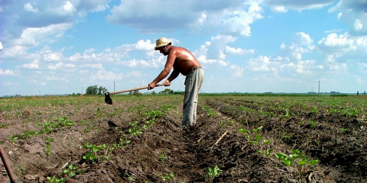 “Uruguay está preparado para convertirse en un referente mundial” en producción de alimentos