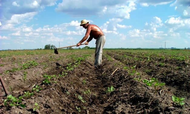 “Uruguay está preparado para convertirse en un referente mundial” en producción de alimentos