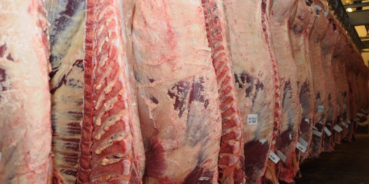 Trabajadores de la industria de la carne realizan un paro general este viernes