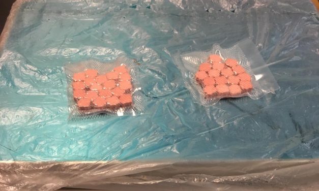 En el Aeropuerto de Carrasco incautaron pastillas alucinógenas que venían de Holanda