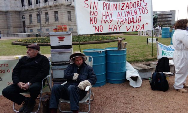 «Pedimos una ley de protección de los polinizadores y la prohibición de los agro químicos que las matan»