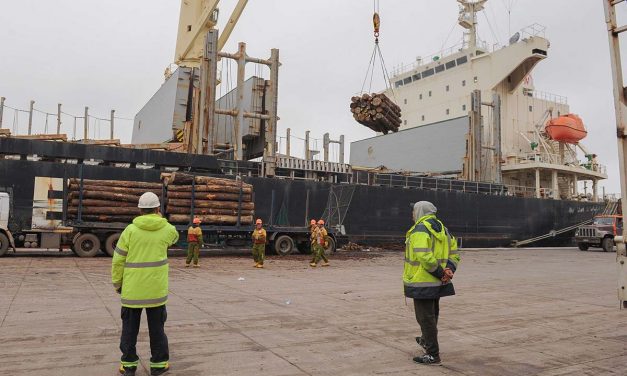 Plan remoto de viviendas de madera: el objetivo es reducir costo y tiempo sin perder calidad de construcción
