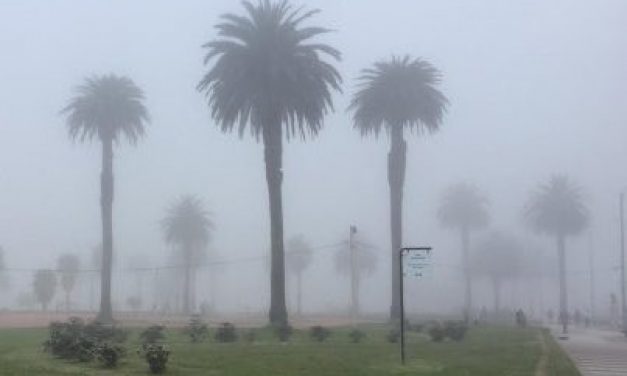 El MSP alerta por síntomas que pueden aparecer por el humo de la Amazonía