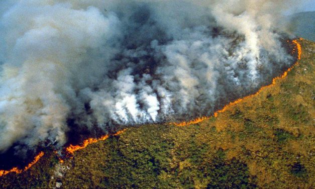 El Amazonia «no es el pulmón del mundo», pero «sí regula todo el ciclo del agua»