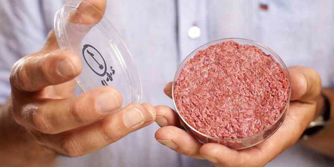 Carne sintética a partir de células madres ¿podría competir con la real?
