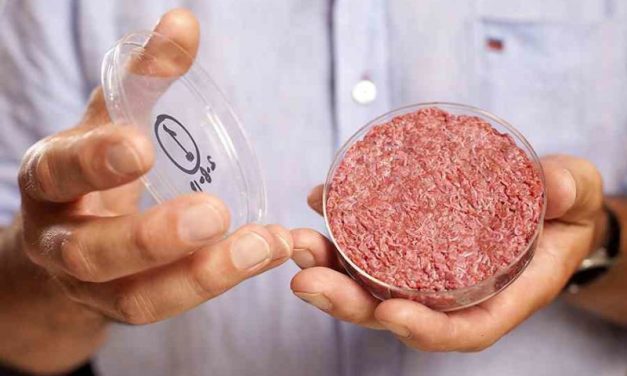 Carne sintética a partir de células madres ¿podría competir con la real?