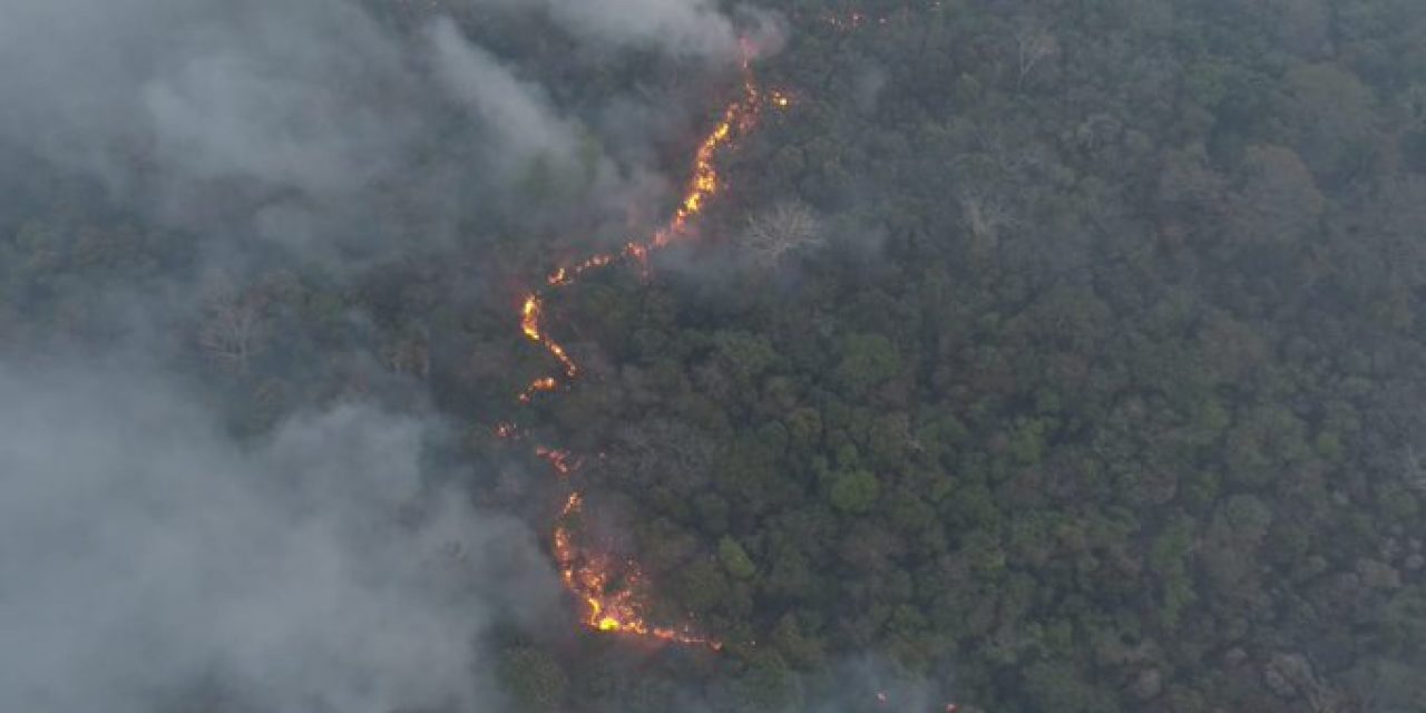 Incendio en Rocha continua controlado y su extinción total  demandará “un par de días”