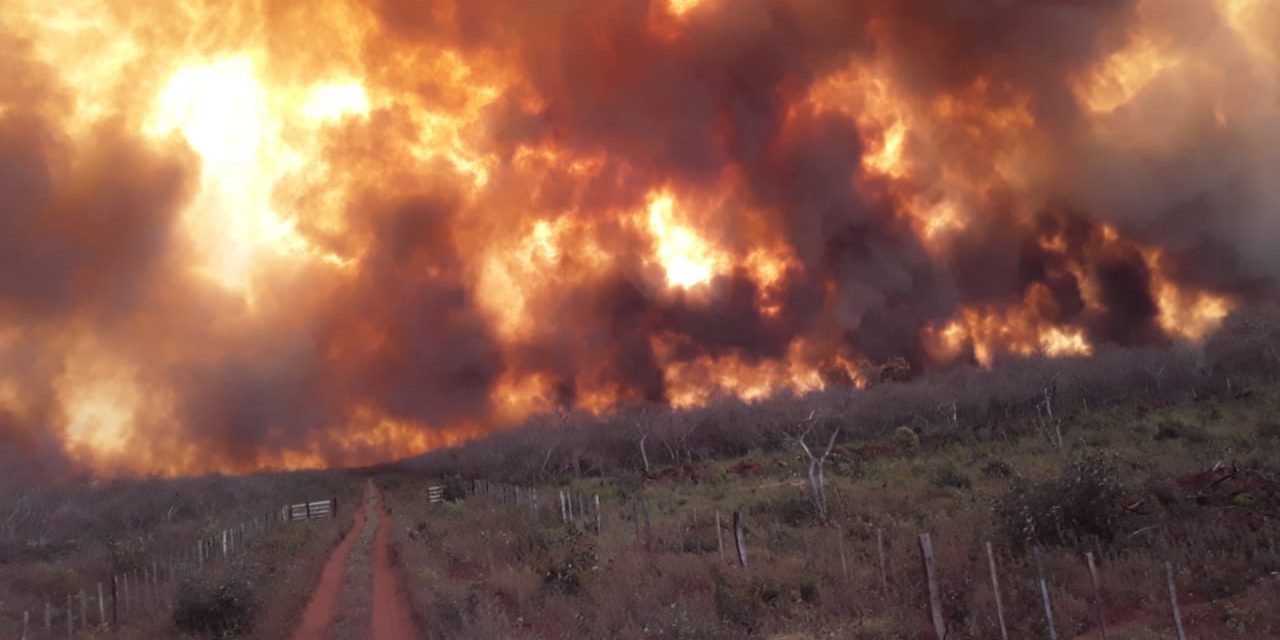 Paraguay declara alerta de emergencia por incendios del Amazonas: «Las imágenes son realmente escalofriantes»