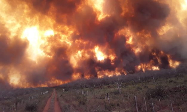 Paraguay declara alerta de emergencia por incendios del Amazonas: «Las imágenes son realmente escalofriantes»